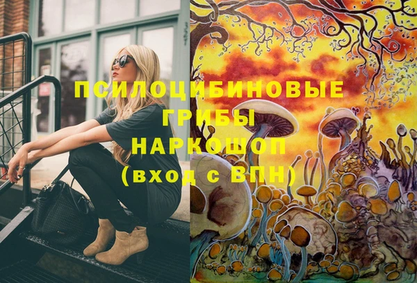 PSILOCYBIN Абаза