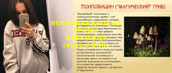 PSILOCYBIN Абаза