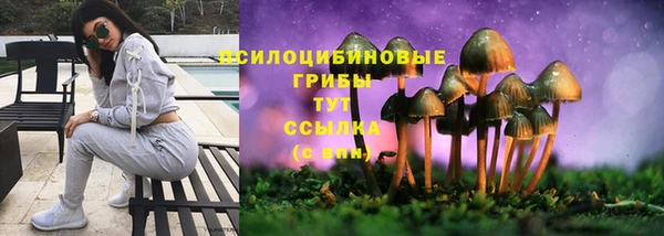 PSILOCYBIN Абаза